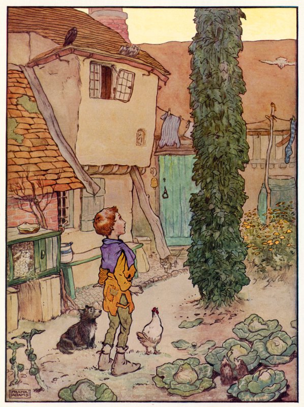 Hans und die Bohnenranke von Frank Adams