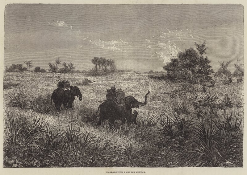 Indien und der Prinz von Wales, Tigerjagd vom Howdah aus von Frederic Theodore Lix