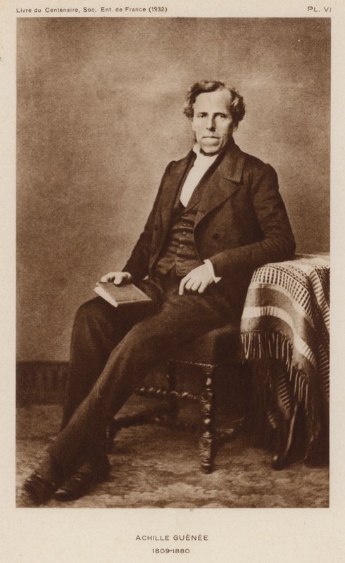 Achille Guenée, französischer Entomologe (s/w Foto) von French Photographer