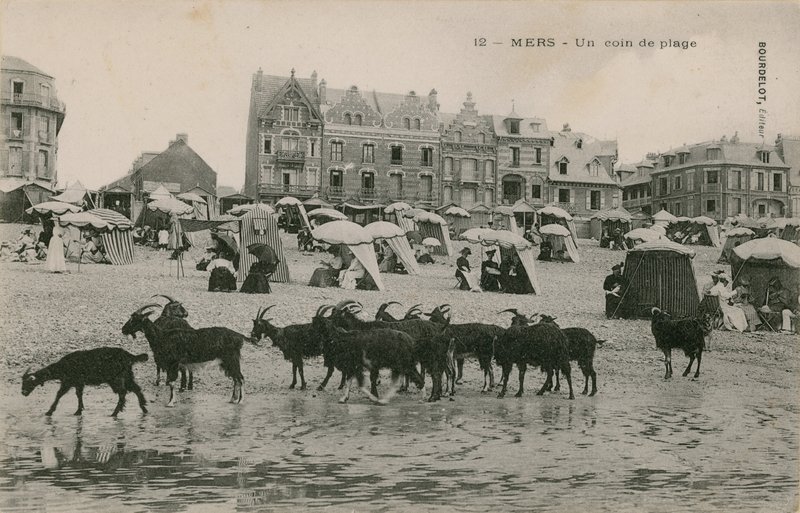 Mers - ein Teil des Strandes von French Photographer
