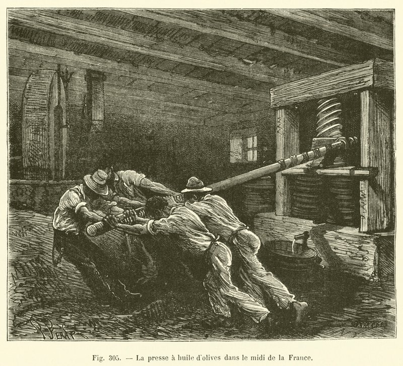 Die Olivenölpresse im Süden Frankreichs (Gravur) von French School