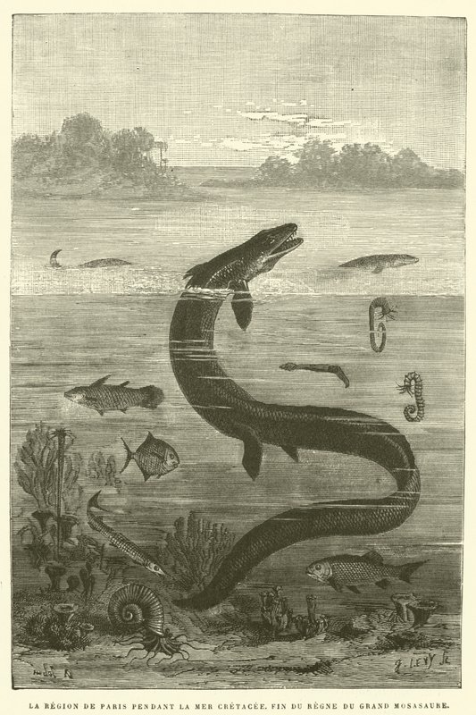Die Region von Paris während der Kreidezeit, Ende der Herrschaft des großen Mosasaurus (Gravur) von French School