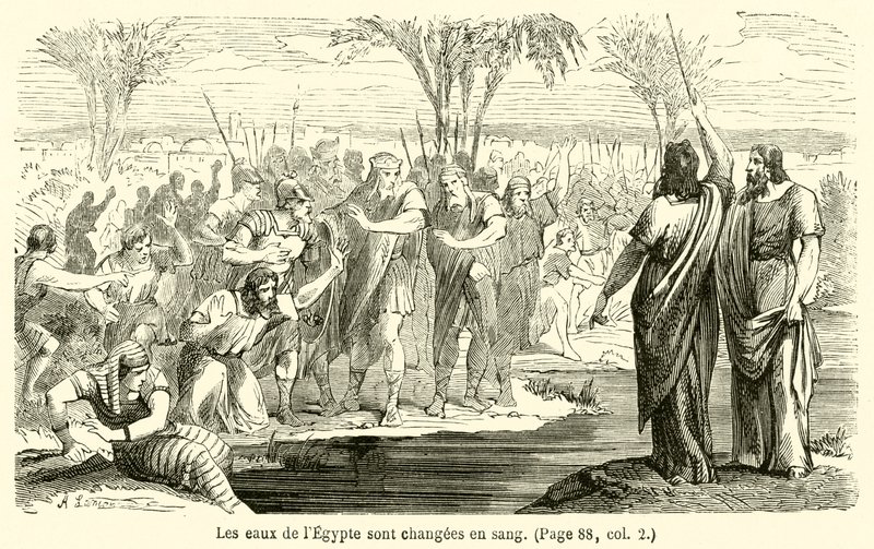 Die Wasser Ägyptens werden zu Blut von French School
