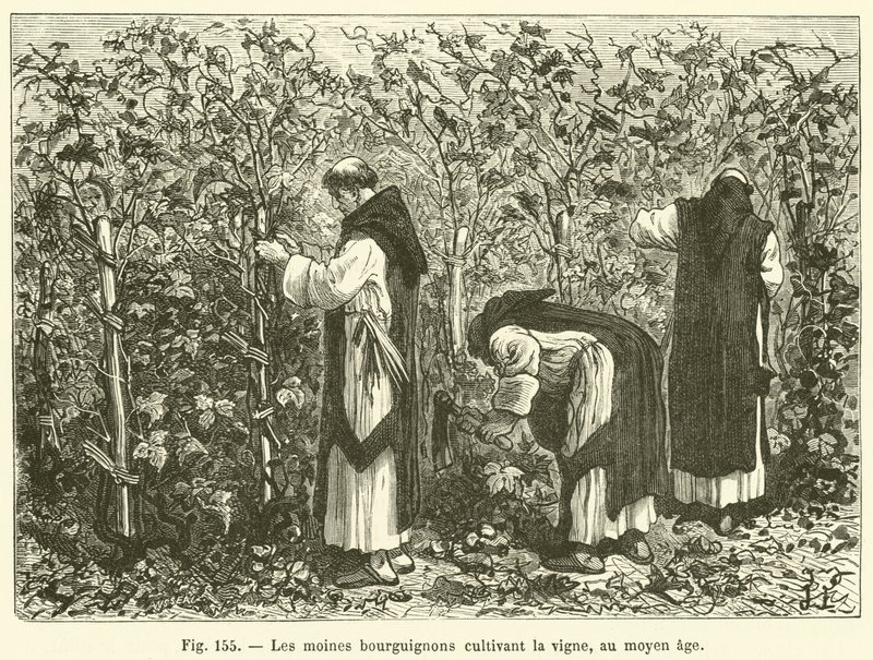Die burgundischen Mönche, die im Mittelalter den Weinberg kultivierten von French School
