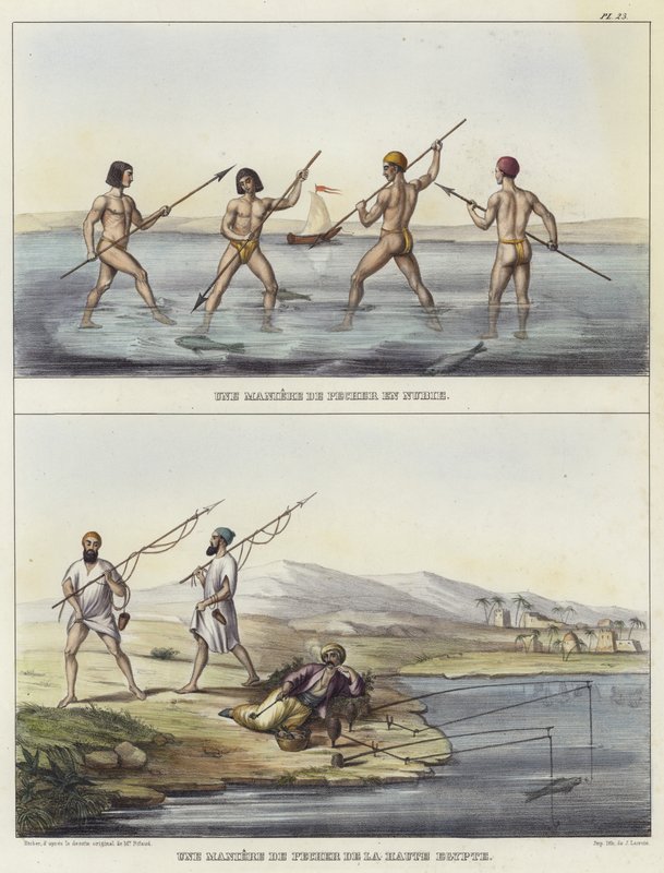 Fischereimethoden in Nubien und Ägypten von French School