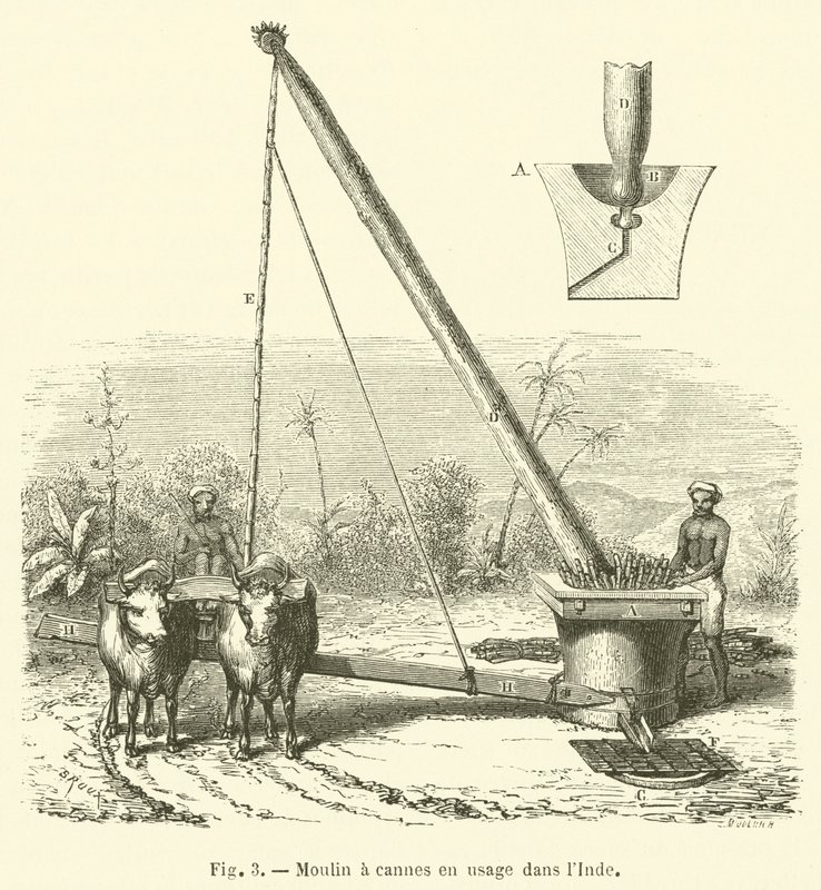 Zuckerrohrmühle in Gebrauch in Indien von French School