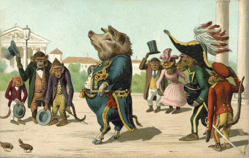 Schwein als General verkleidet (Farblithografie) von French School