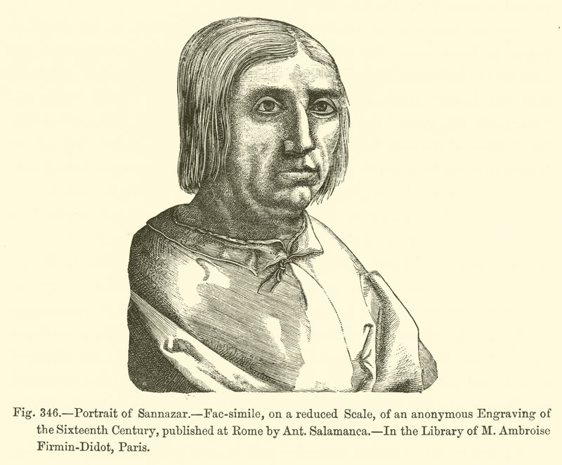 Porträt von Sannazar von French School
