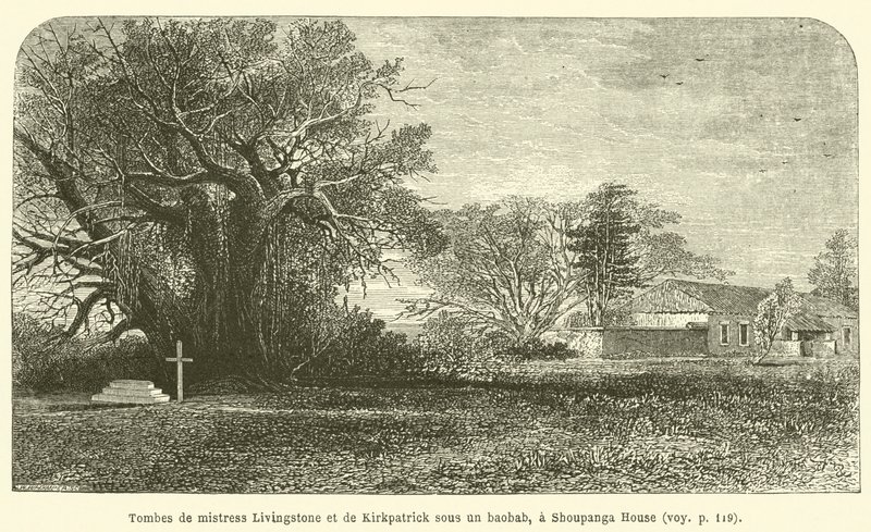 Gräber von Mistress Livingstone und Kirkpatrick unter einem Baobab, bei Shoupanga House von French School