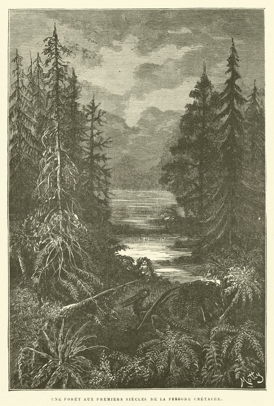 Ein Wald in den ersten Jahrhunderten der Kreidezeit von French School