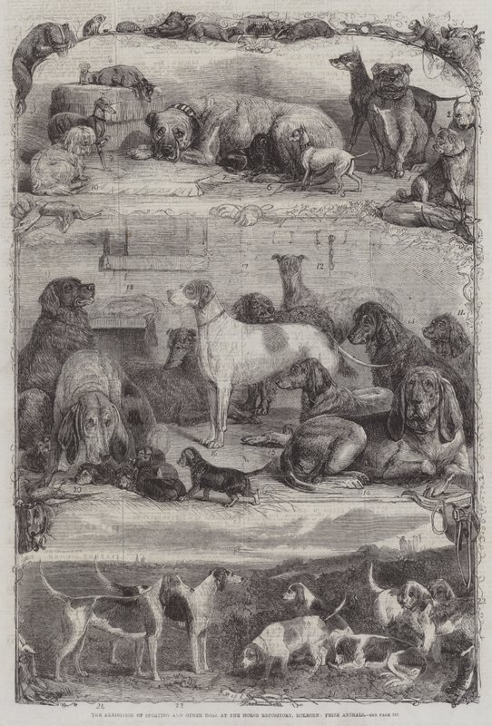Die Ausstellung von Sport- und anderen Hunden im Horse Repository, Holborn, Preisgekrönte Tiere von Friedrich Wilhelm Keyl