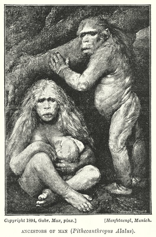 Vorfahren des Menschen, Pithecanthropus Alalus von Gabriel Max