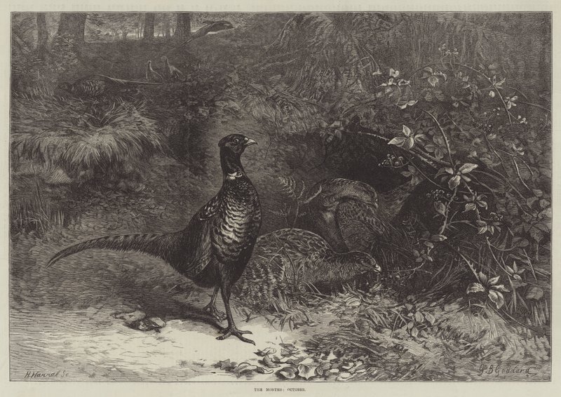 Die Monate, Oktober von George Bouverie Goddard