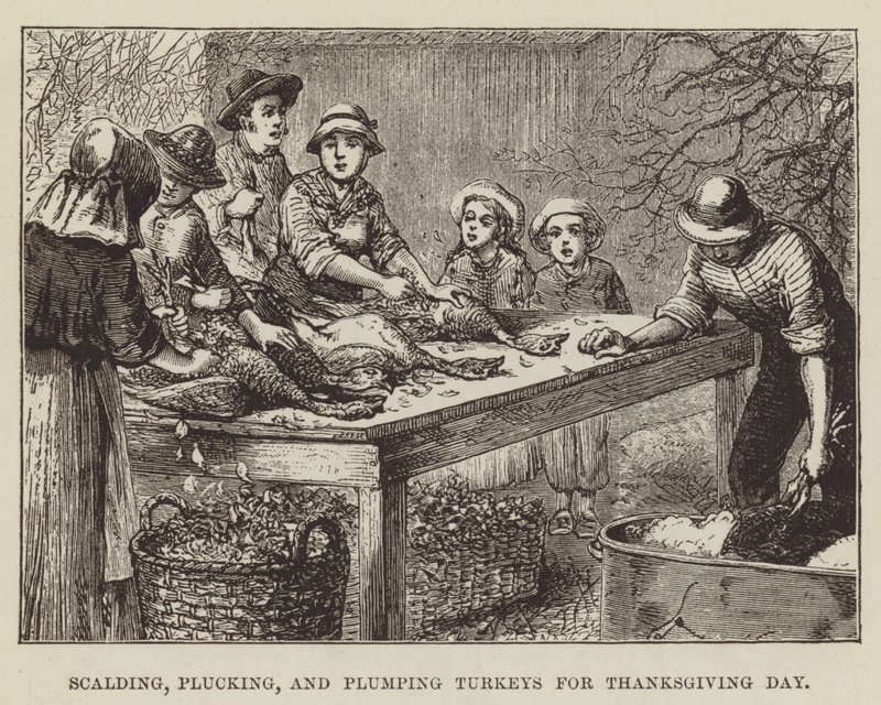 Schälen, Rupfen und Plumpen von Truthähnen für Thanksgiving von George Augustus Sala