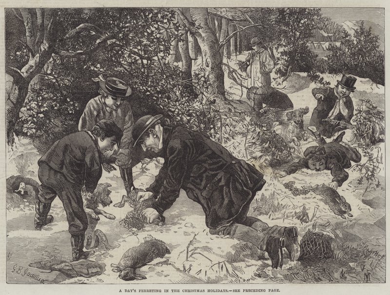 Ein Tag beim Frettchenjagen in den Weihnachtsferien von George Bouverie Goddard