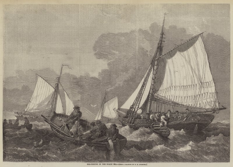 Dorschfischen in der Nordsee von George Henry Andrews