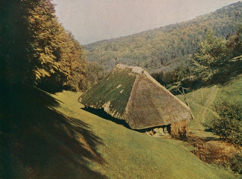 Traditionelles Schwarzwald-Bauernhaus, Wildtal, Deutschland von German Photographer