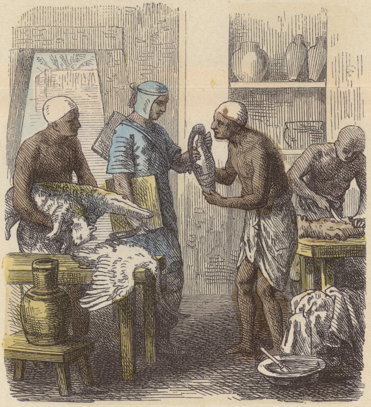 Einbalsamierung von Tieren im alten Ägypten von German School