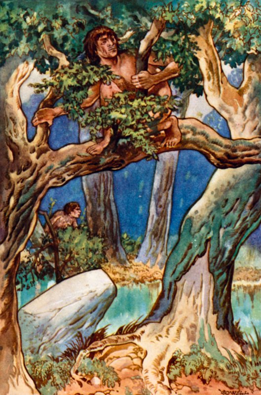 Vor langer, langer Zeit: Mensch im Wald und Sumpf von Gertrude Hamilton