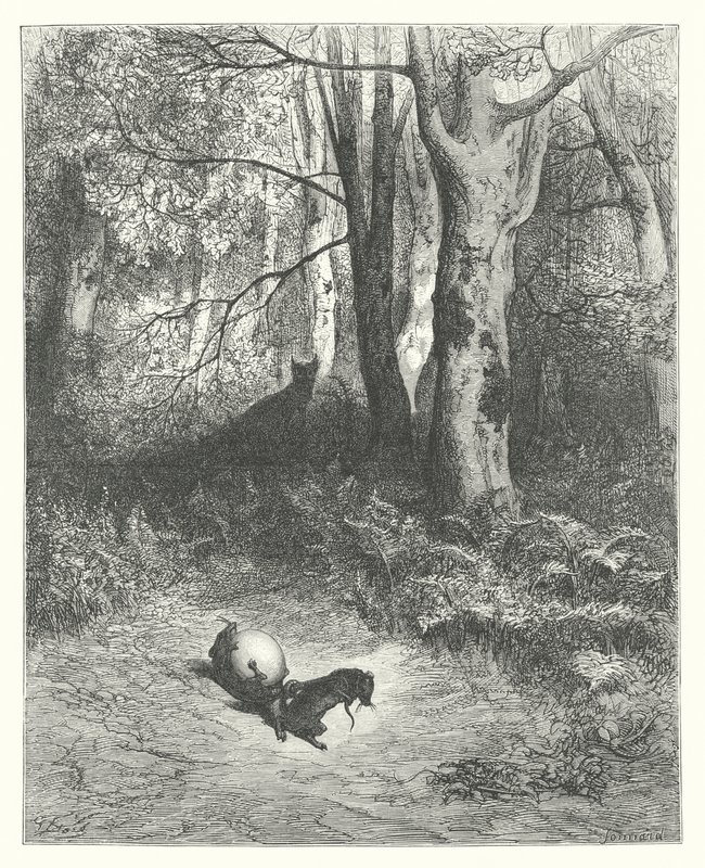 Die Fabeln von La Fontaine: Die zwei Ratten, der Fuchs und das Ei (Gravur) von Gustave Dore