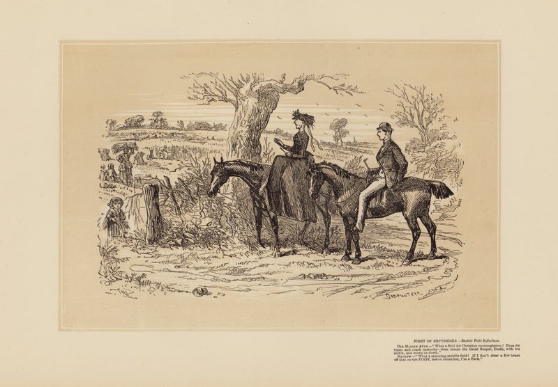 Ein sehr gutes Feld für Reflexion von Hablot Knight (1815 92) Browne