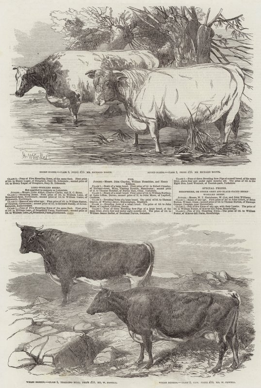 Ausstellung der Royal Agricultural Society of England von Harrison William Weir