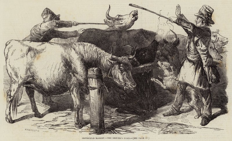 Smithfield-Markt, der Treiberstock von Harrison William Weir