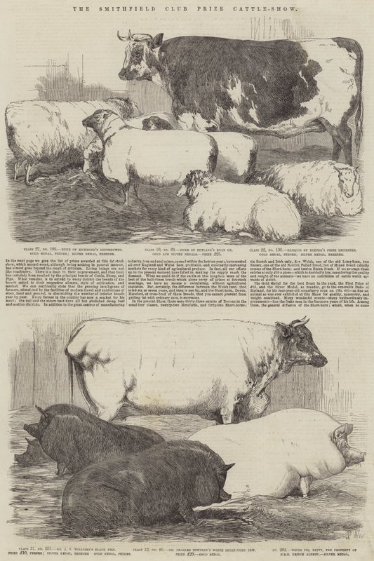 Die Smithfield Club Preisvieh-Schau von Harrison William Weir