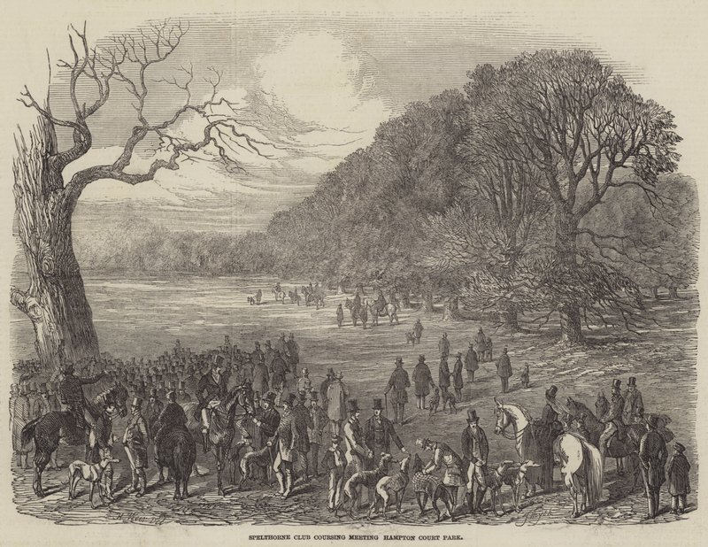 Spelthorne Club Coursing Meeting, Hampton Court Park von Harrison William Weir