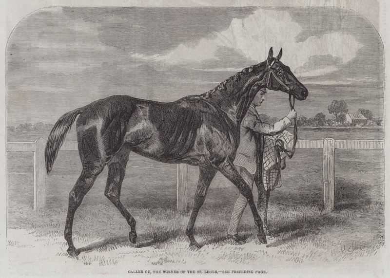 Caller Ou, der Gewinner des St. Leger von Harry Hall