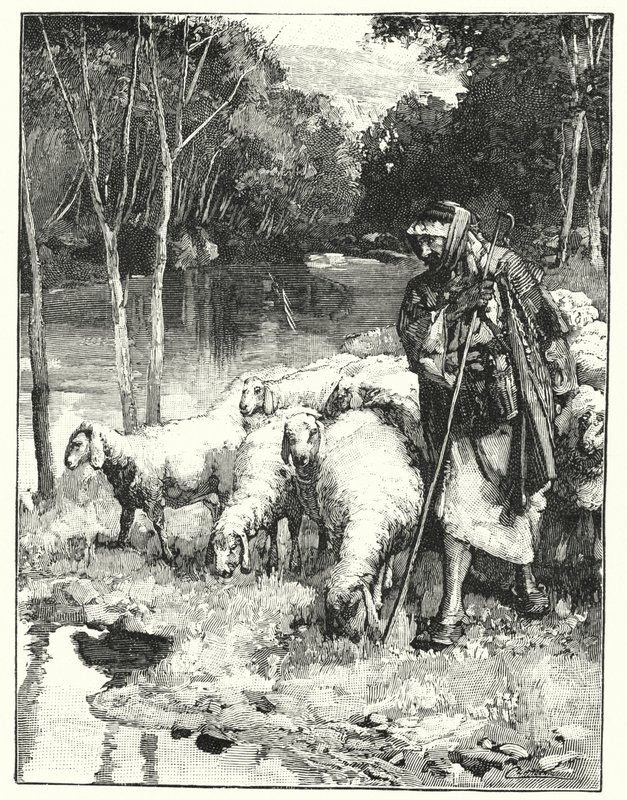 Ein Hirte und seine Herde im Anti-Libanon von Henry Andrew Harper