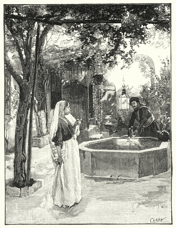 Hof eines Hauses in Damaskus (Lithografie) von Henry Andrew Harper