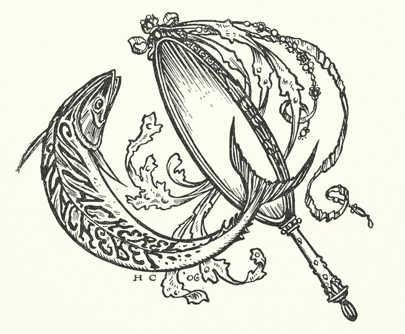Die magische Makrele von Herbert Cole