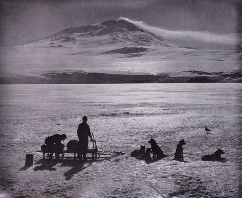 Schlitten und Hunde, mit dem Mount Erebus im Hintergrund von Herbert Ponting