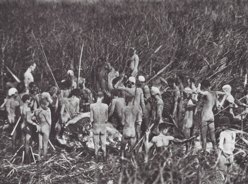 Afrika: Nuer-Jäger mit Elefantenkörper von Hugo Adolf Bernatzik