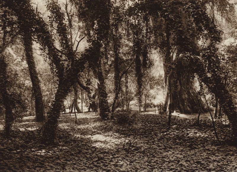 Mexiko: Idyllischer Ort im Chapultepec Park von Hugo Brehme
