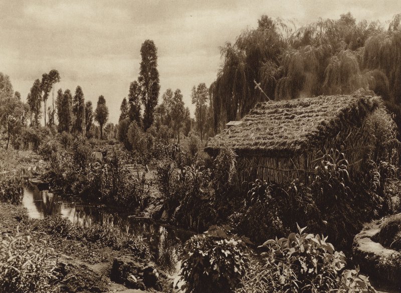 Mexiko: Xochimilco mit den sogenannten "Schwimmenden Gärten" von Hugo Brehme