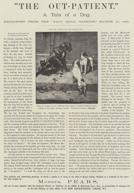 Werbung, Der Ambulanzpatient, eine Geschichte eines Hundes von James Yates Carrington