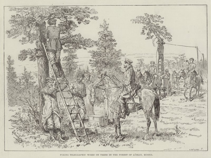 Anbringen von Telegrafendrähten an Bäumen im Wald von Lublin, Russland von Johann Nepomuk Schonberg