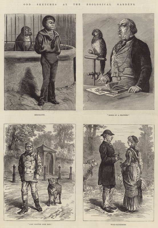 Seltsame Skizzen im Zoologischen Garten von Johann Nepomuk Schonberg