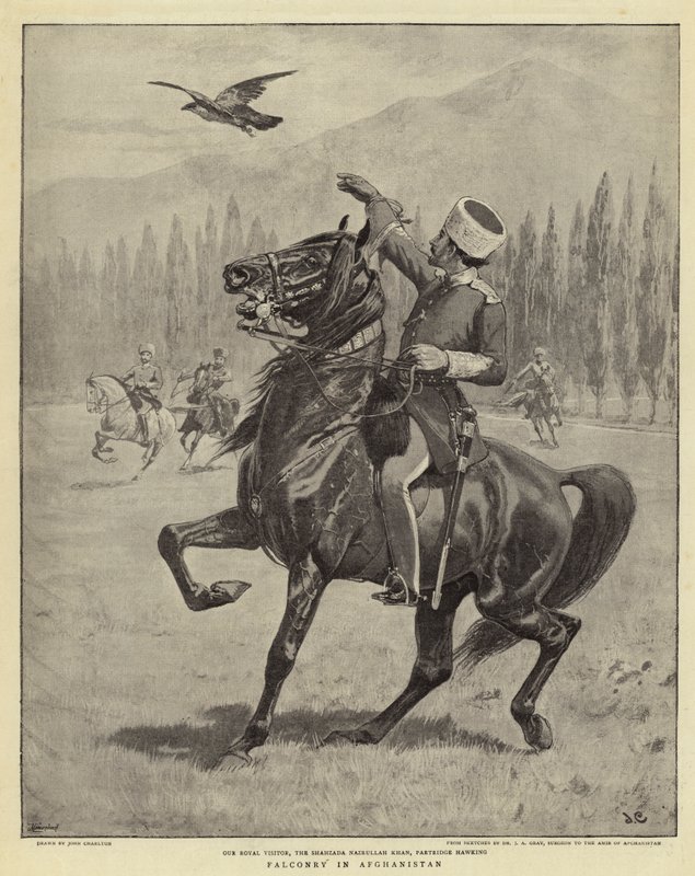 Falknerei in Afghanistan von John Charlton