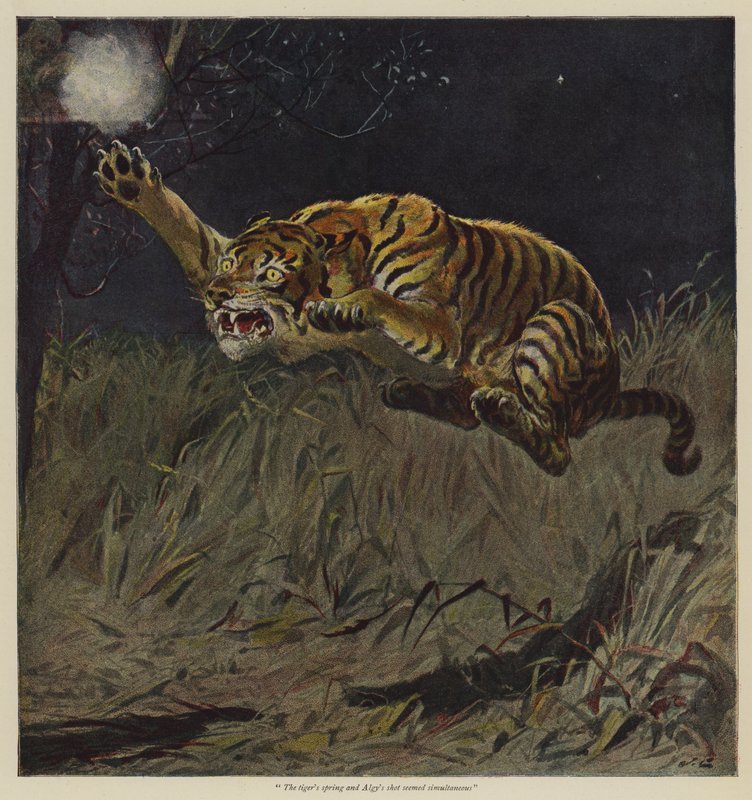 Illustration für Ein freiwilliges Opfer, von B. M. Corker von John Charlton