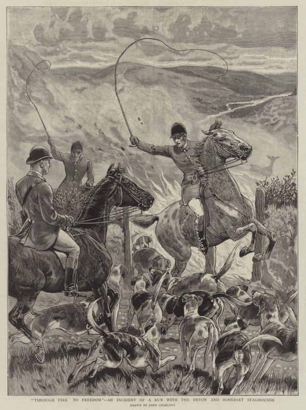 Durch Feuer zur Freiheit, ein Vorfall bei einer Jagd mit den Devon und Somerset Staghounds von John Charlton