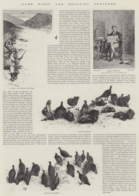 Wildvögel und Jagdskizzen von John Guille Millais