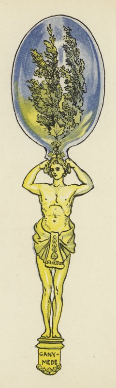 Ganymed und der Mythos des Pappelbaums von John Shenton Eland