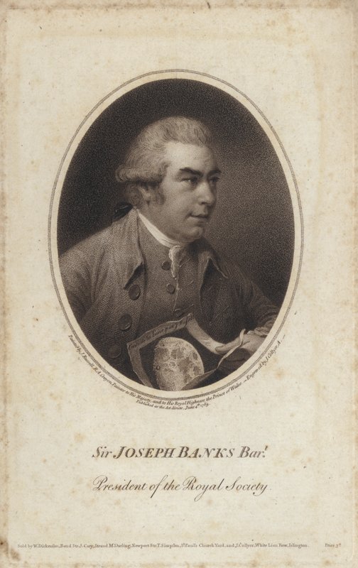Sir Joseph Banks, englischer Naturforscher, Botaniker und Präsident der Royal Society von John (after) Russell
