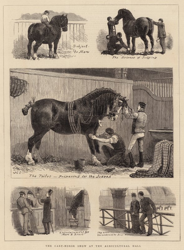 Die Kaltblutpferdeschau in der Agricultural Hall von John Charles Dollman