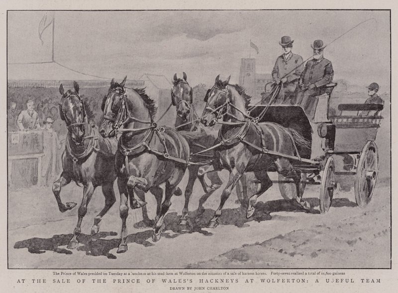 Beim Verkauf der Hackneys des Prinzen von Wales in Wolferton, ein nützliches Team von John Charlton