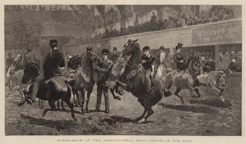 Pferdeschau in der Landwirtschaftshalle, Ponys im Ring von John Charlton