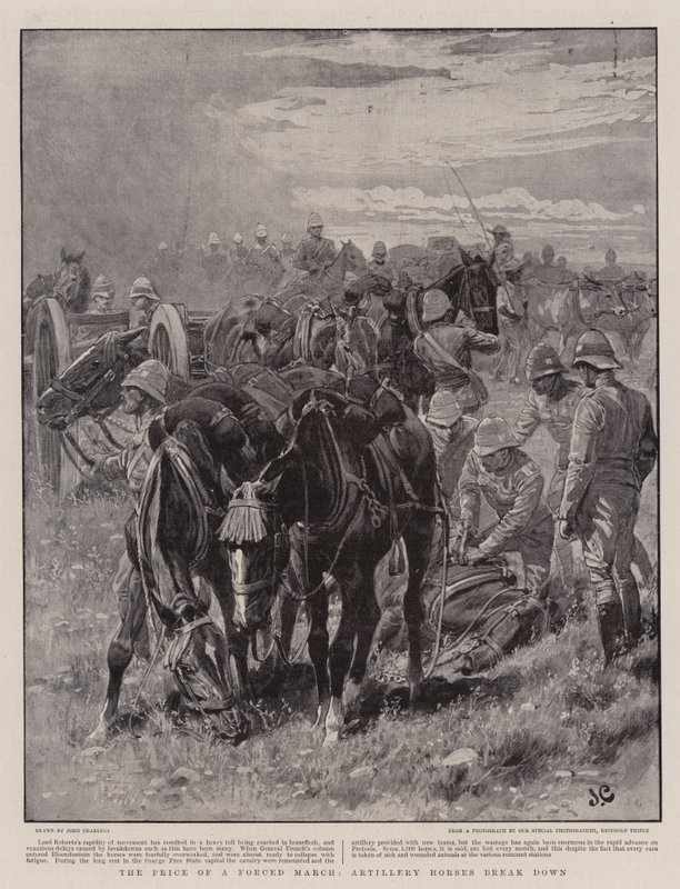 Der Preis eines erzwungenen Marsches, Artilleriepferde brechen zusammen von John Charlton